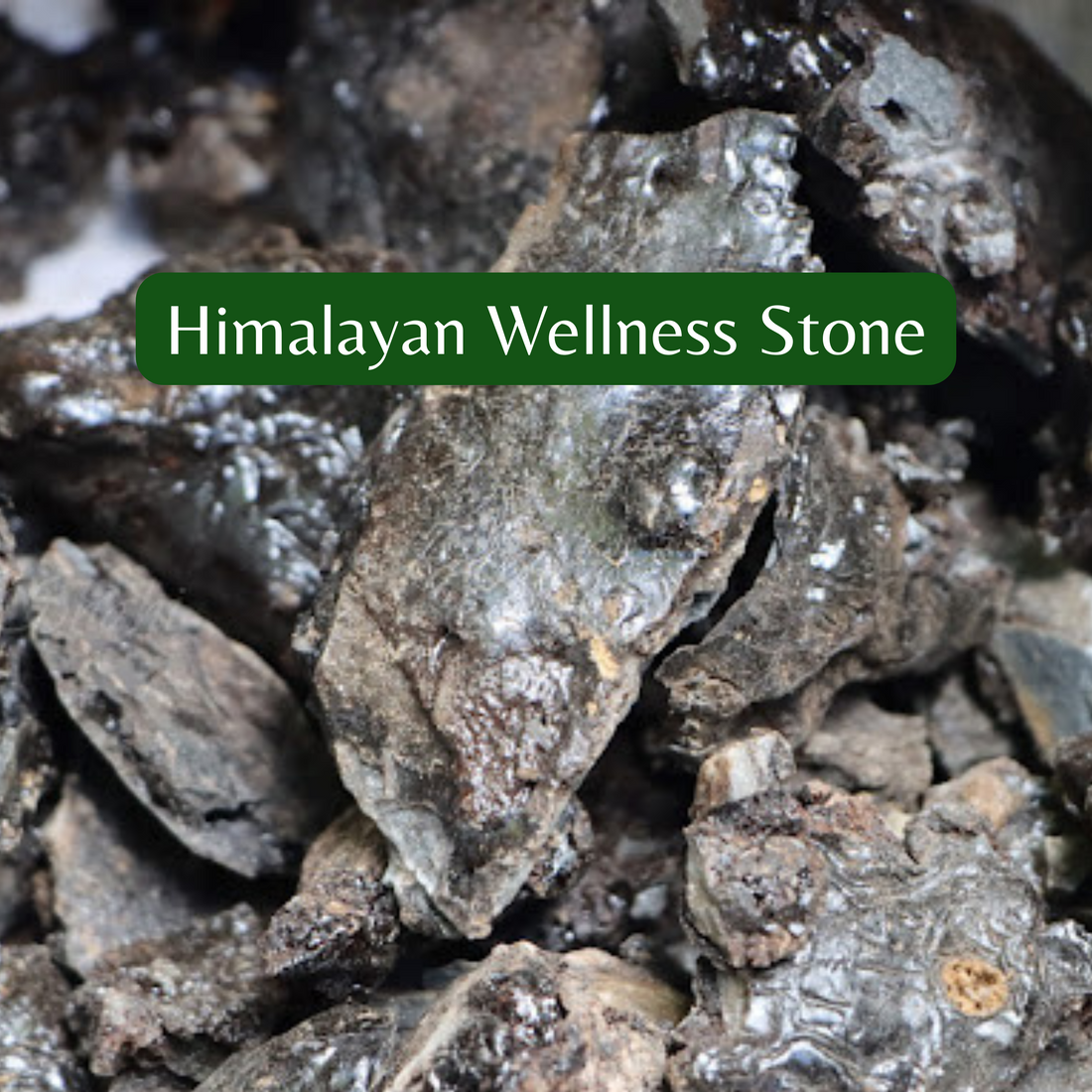 Purified by Nature, Dried by the Sun: Real Nepali Shilajit