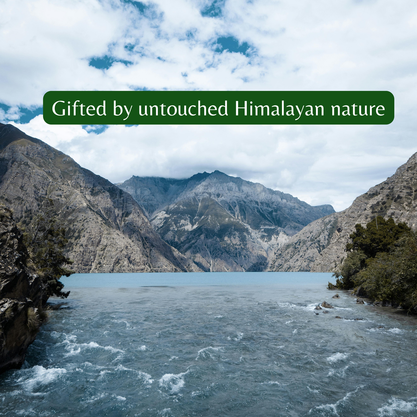 Nepali Himalayan Authentic Shilajit - Sourced from 18,000 ft in Nepal - 20 gram.