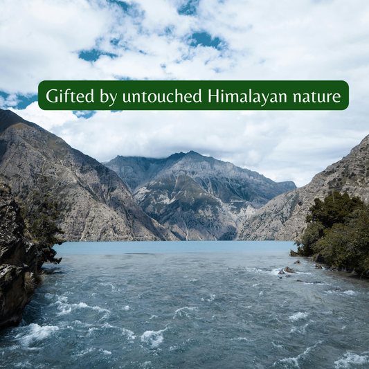 Why Nepali Himalayan Shilajit is Truly Special?